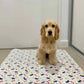 ⏳Black Friday SALE 50% OFF!🔥Premium Re-Useable Accident-Proof Puppy Pads🐾 (Kitten & Other Pets)